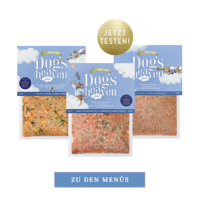 Frisches Hundefutter kaufen